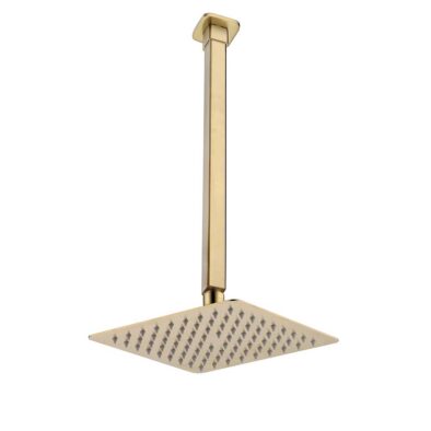 Rialto brushed brass chrome ceiling mount shower head