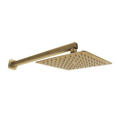 Rialto brushed brass chrome wall mount shower head